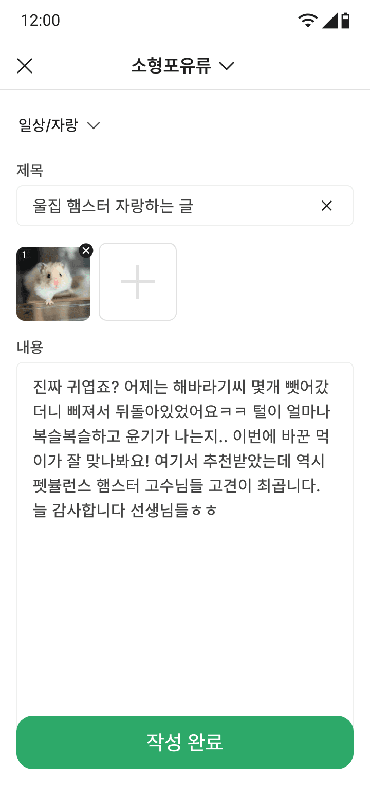 글쓰기